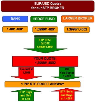 How an STP broker makes money - Forex School