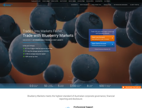 Blueberry markets broker review