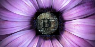 Bitcoin fundamentals briefing, April 2020