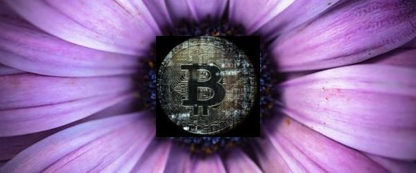Bitcoin fundamentals briefing, April 2020