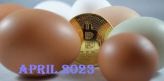 Bitcoin Fundamental Briefing, April 2023