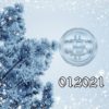 Bitcoin Fundamental Briefing, January 2021