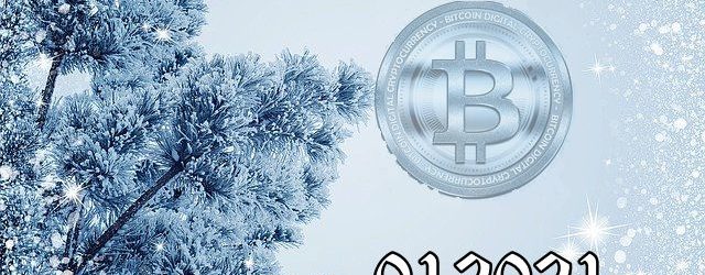 Bitcoin Fundamental Briefing, January 2021