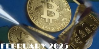 Bitcoin Fundamental Briefing, February 2025