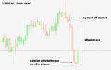 cad oil example.gif
