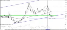 Weekly USD.webp