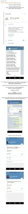 FX Free Signals SCAM.webp
