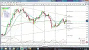 Silverdaily.webp