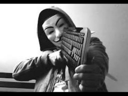 Anonymous213