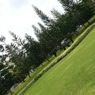 Chris_447