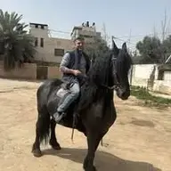 Majdi jadallah