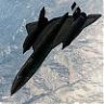 Black Bird