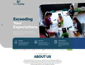 Techturtle Consultant