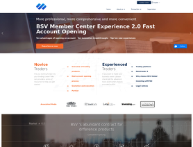BSVGlobal.cc