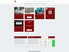 Nigerian Stockbrokers Limited