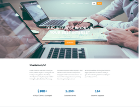 BurlyFX.com