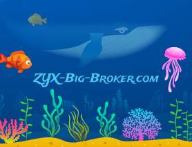 ZYX-Big-Broker.com