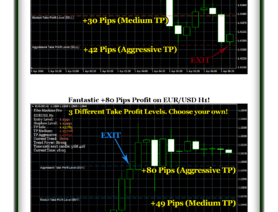 FiboMachinePro.com