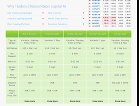 RaiserCapital4x.com