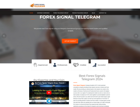 Forex Signal Telegram